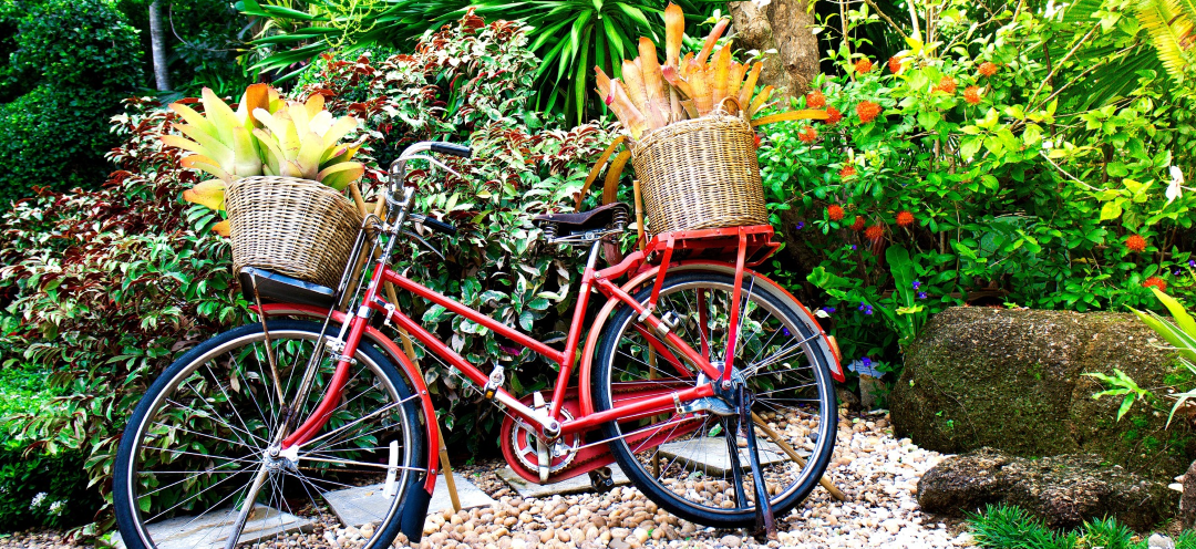 Beitrag: Bewegung mit Freude 21.04.2020